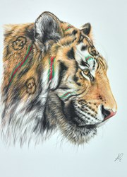 Gucci Growl by Hayley Goodhead - Original Drawing on Mounted Paper sized 11x14 inches. Available from Whitewall Galleries
